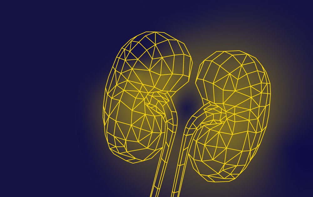 Tests génétiques et NCCi/CKDx : une approche stratégique pour révéler les causes cachées