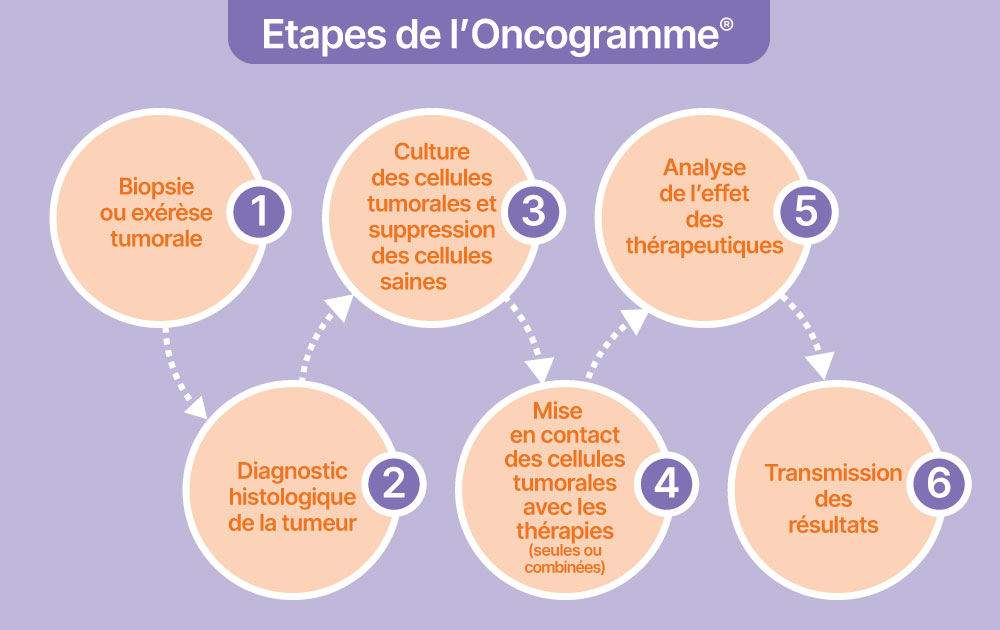 Schéma des étapes de l’Oncogramme® : de la biopsie à la transmission des résultats
