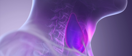 Prise en charge de l’hyperthyroïdie au cours de la grossesse