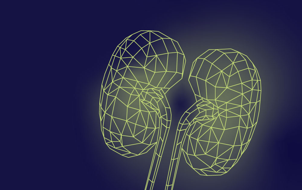 Ce qui se cache derrière les Néphropathies Chroniques de Causes Indéterminées (NCCi ou CKDx)