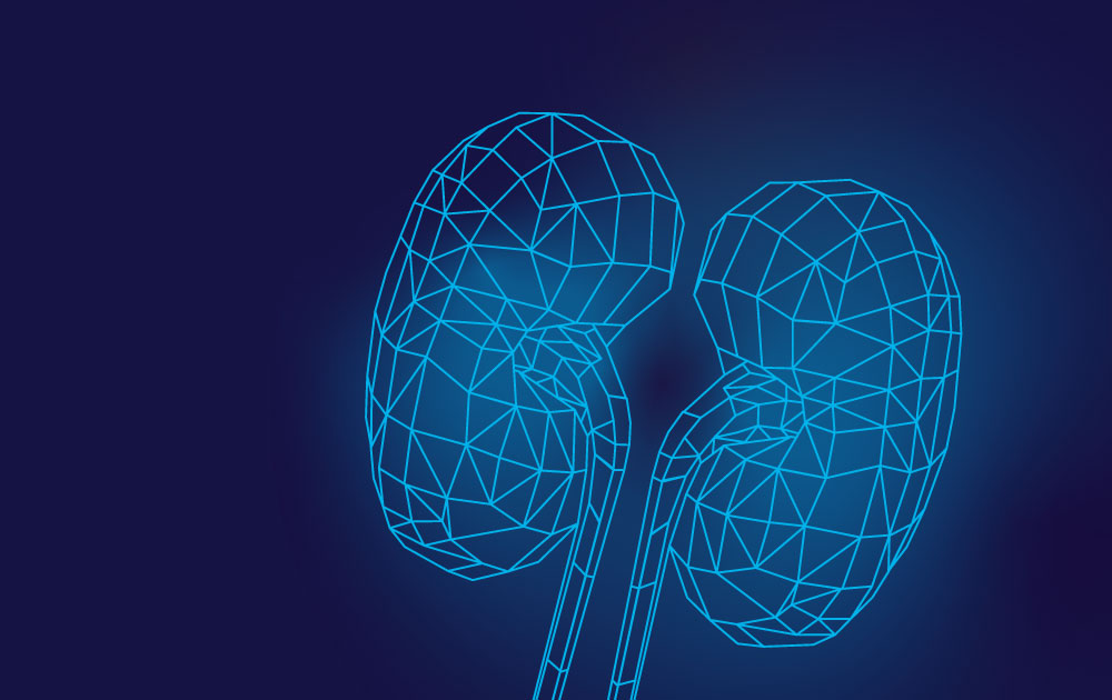 Les Néphropathies Chroniques de Cause Indéterminée (NCCi)