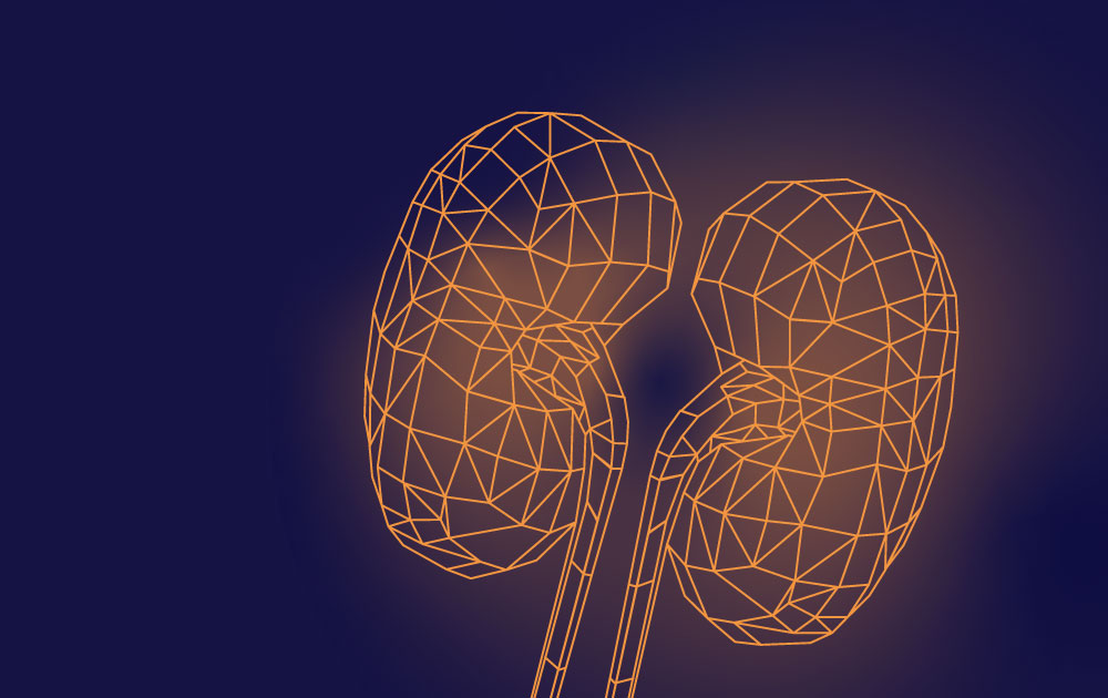 Les variations génétiques : une origine possible de la NCCi/CKDx