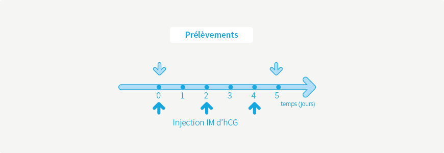 Test à l'HCG chez le garçon