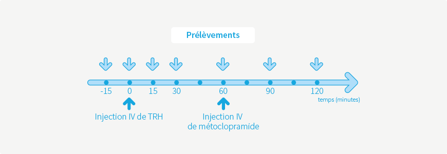Test à la TRH + métoclopramide