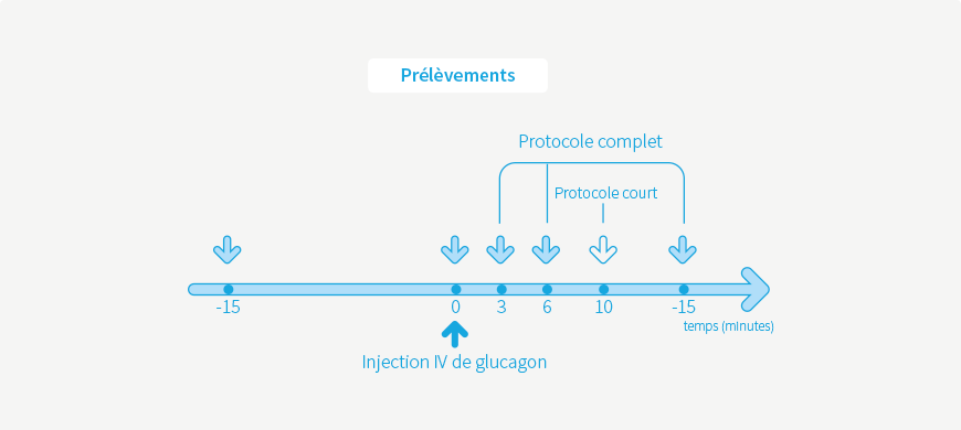 Test au glucagon