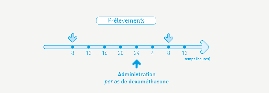 Test à la dexaméthasone (freinage rapide)