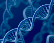 Exome