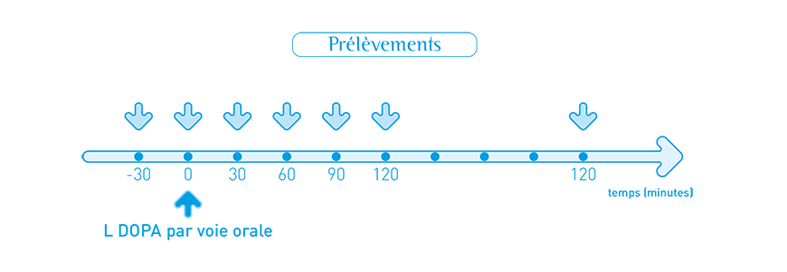 Schema-T-L-Dopa