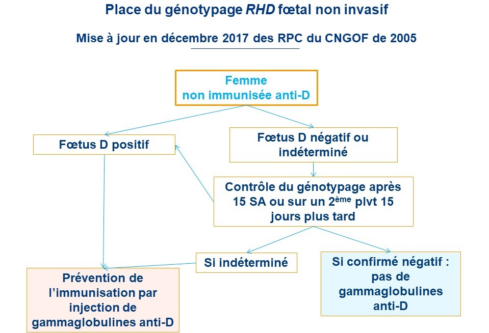 recherche d agglutinines irrégulières femme enceinte