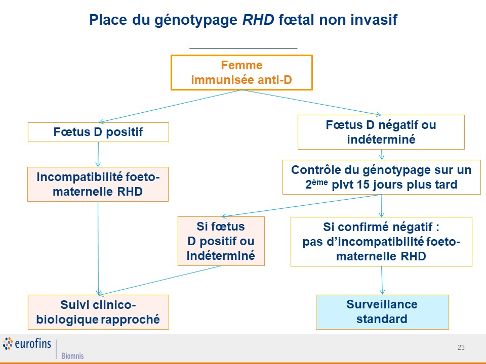 Suivi immuno hématologique 3 trimestre