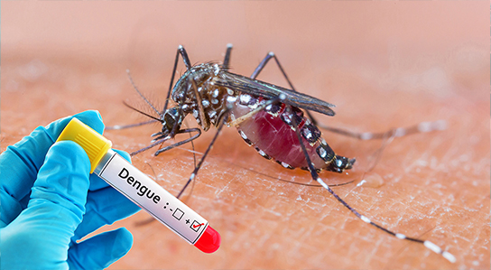 Diagnostic biologique de la dengue