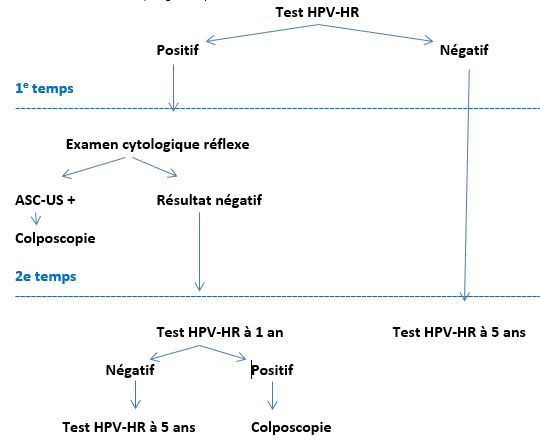 Algorithme de dépistage primaire du cancer du col de l’utérus chez les femmes âgées de 30 ans à 65 ans