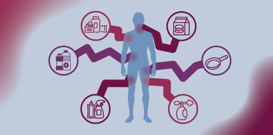 Les perturbateurs endocriniens
