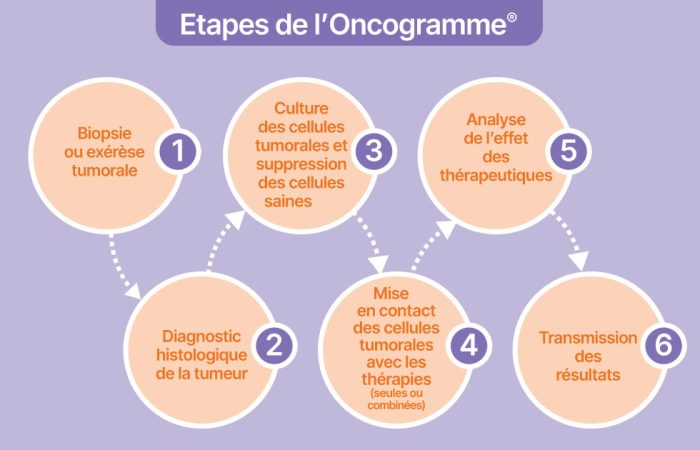 Schéma des étapes de l’Oncogramme® : de la biopsie à la transmission des résultats
